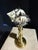 Traditional Celestial Meets the Sea Brass Adorned With Shell-Coastal Art Sculpture For Sale - Image 3 of 6