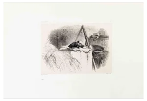 Karl Bodmer, Pigeon, Lithograph, 19th Century