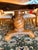 1990s 1990s Grand Traditional Italian Carved Pedestal Dining Table & 8 Damask Chairs - 9 Piece Set For Sale - Image 5 of 9