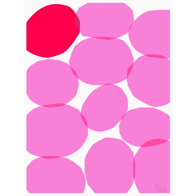 11 Pink Ovals, One Red Fine Art Print 25 1/2" X 33 1/2" by Liz Roache For Sale In Boston - Image 6 of 6