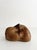 1970s Unknown, Zoomorphic Bull, 1970s, Ceramic For Sale - Image 5 of 8