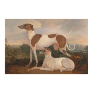 Vintage Greyhound Dog Art Print by Charles Hancock - 54" X 36" For Sale