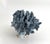 Late 20th Century Natural Blue Coral Specimen Coastal Decor For Sale - Image 5 of 8