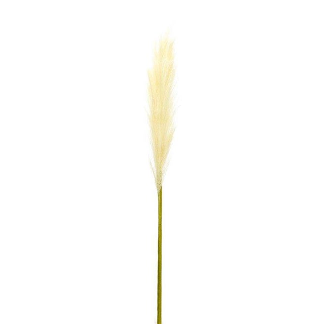 Elevate your home decor with the natural beauty of the Cream Pampas Grass Spray Set. This exquisite set of faux stems adds...