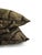 2010s Ralph Lauren Coco De Mer in Tarnished Gold Pillow Cover - 20" X 20" For Sale - Image 5 of 6