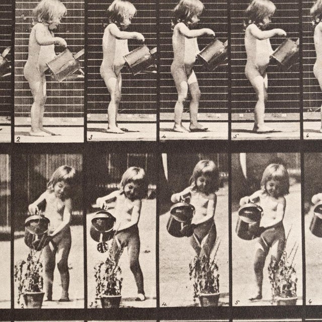 Eadweard Muybridge, Black and White Image, 1982, Photograph, Framed For Sale - Image 4 of 9
