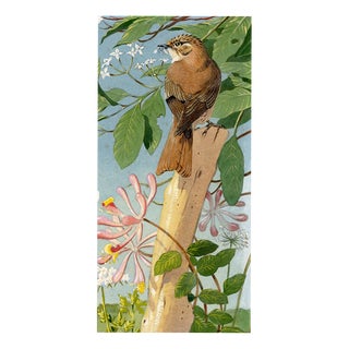 William Neave Parker, Treecreeper Bird with Honeysuckle, 1950s, Gouache For Sale
