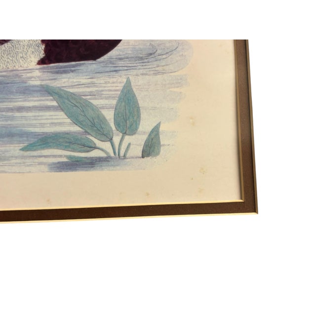 Vintage Framed Waterfowl Print of a Red-Breasted Merganser Duck For Sale In Greensboro - Image 6 of 7