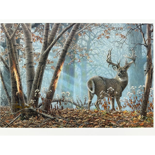 BROKEN SOLITUDE - WHITETAIL DEER by LARRY ZACH Deer in Fall Forest -SIGNED PRINT LARRY ZACH is one of the most important...