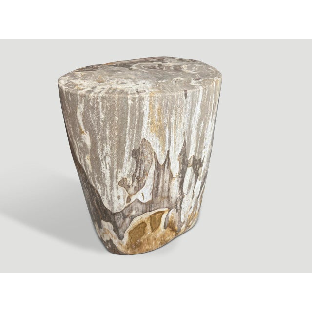 Andrianna Shamaris Impressive High Quality Ancient Petrified Wood Side Table For Sale In New York - Image 6 of 6