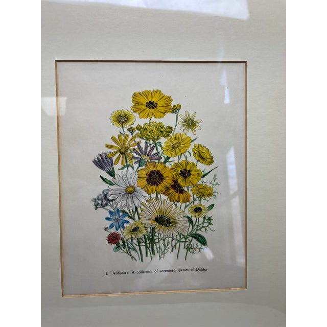 Two Framed Floral Prints For Sale - Image 4 of 10
