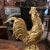 French French Gilded Bronze Statue Rooster, Signed A.Cain, Circa 1880 For Sale - Image 3 of 12