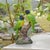 2020s Resin Parakeet Figurine – 7.5" Realistic Bird Sculpture on Branch For Sale - Image 5 of 5