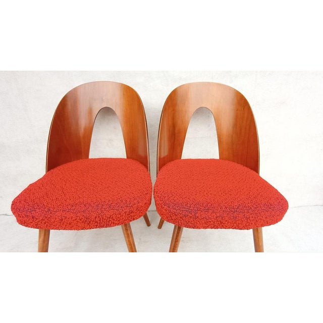 Mid-Century Dining Chairs by Antonin Suman, 1960s, Set of 2 For Sale - Image 10 of 13