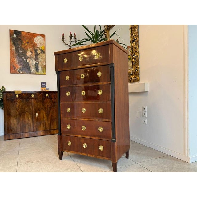 Biedermeier Chest in Walnut For Sale - Image 3 of 15