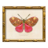 Contemporary Reproduction of Vintage "Garden Friends" Art Print , Pink Framed Butterfly For Sale