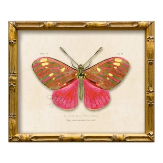 Contemporary Reproduction of Vintage "Garden Friends" Art Print , Pink Framed Butterfly For Sale