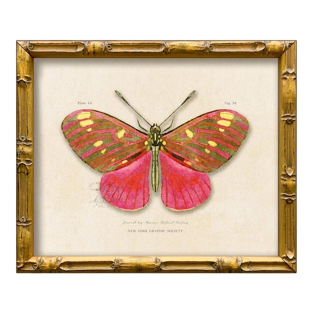 Contemporary Reproduction of Vintage "Garden Friends" Art Print , Pink Framed Butterfly For Sale