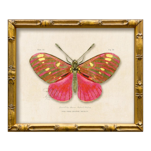 Contemporary Reproduction of Vintage "Garden Friends" Art Print , Pink Framed Butterfly