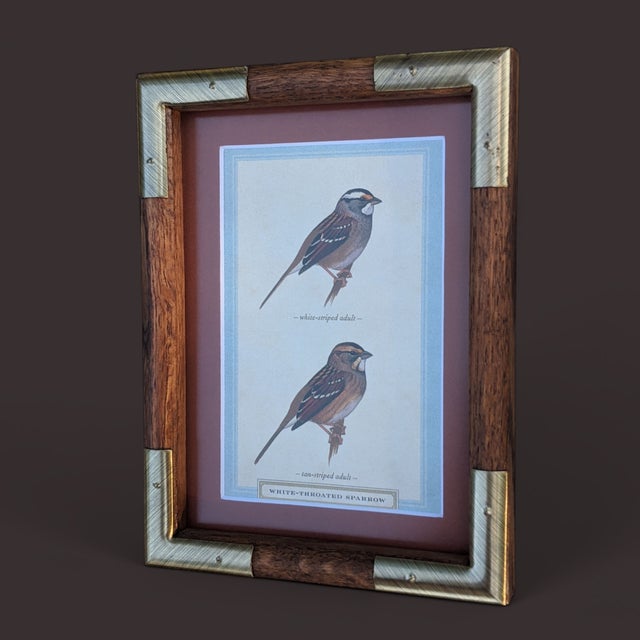 Late 20th Century Audubon Style Sparrow Bird Postcard in a Wood and Brushed Brass Campaign Frame For Sale - Image 5 of 9