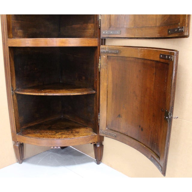 Brown Italian Louis XVI Corner Cabinet in Walnut For Sale - Image 8 of 17
