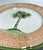 Mid 20th Century MCM Vietri Italian Wickerweave Border Tropical Coconut Palm Tree Porcelain Plates - A 3 Piece Set For Sale - Image 5 of 6