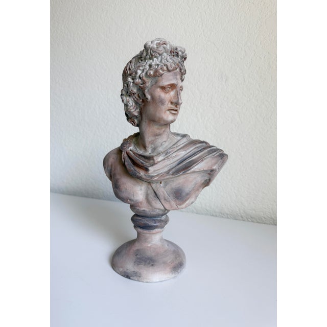 Figurative Classical Bust of Apollo Belvedere, Early 21st Century For Sale - Image 3 of 12