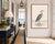 Black Great Blue Heron Coastal Study, Neutral Bird Wall Art Print, 20" X 30" For Sale - Image 8 of 11