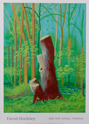 Tree Trunk in the Forest Poster after David Hockney