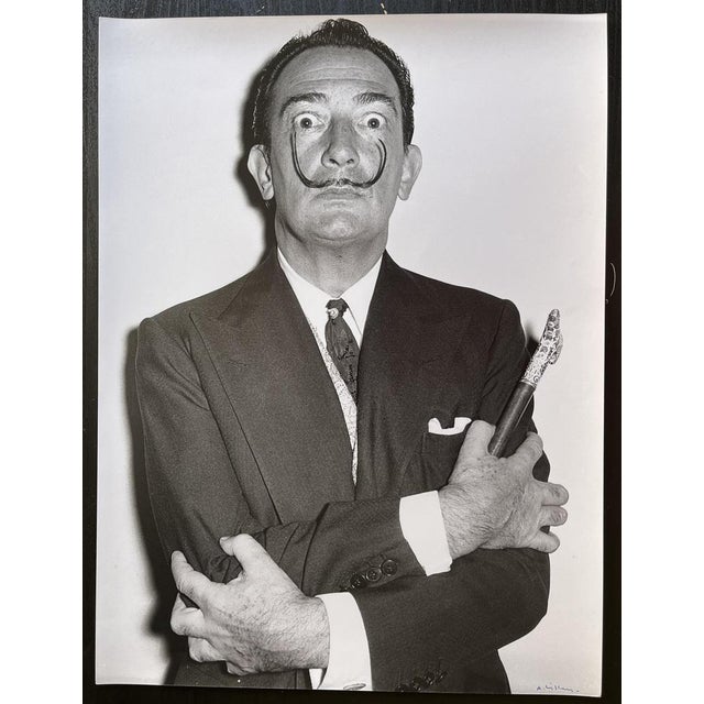 André Villers, Salvador Dali, Photograph For Sale - Image 5 of 5