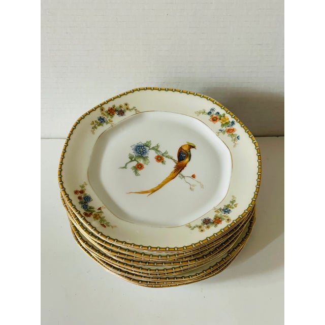 10 Antique Bird Parrots Porcelain Plates Checz For Sale - Image 4 of 6