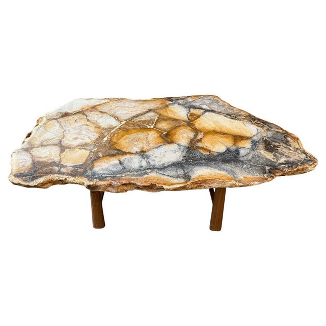 Andrianna Shamaris Beautiful Rare Petrified Wood Coffee Table For Sale In New York - Image 6 of 18