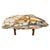 Andrianna Shamaris Beautiful Rare Petrified Wood Coffee Table For Sale In New York - Image 6 of 18