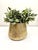 Antique Middle Eastern Brass Pot For Sale - Image 4 of 11
