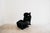 Wink Chaise Lounge by Toshiyuki Kita for Cassina, 1970s For Sale - Image 10 of 14