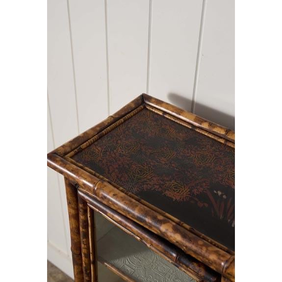 19th Century 19th Century Tortoise Bamboo 2-Door Glass Front Cabinet For Sale - Image 5 of 10