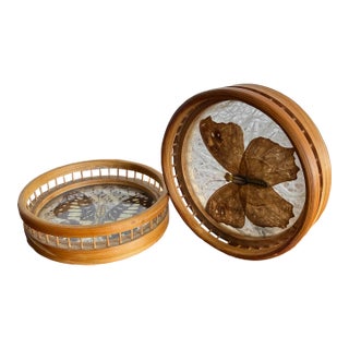 Vintage Bamboo-Framed Coasters With Pressed Butterflies For Sale