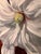 Framed Oil on Canvas Magnolia by Shelly Gurton Titled "Margaux" For Sale - Image 9 of 11