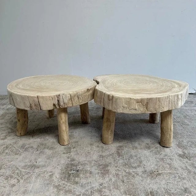 Late 20th Century Cypress Wood Stump Slice Coffee Table Set of 2 For Sale In Los Angeles - Image 6 of 11