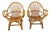 Set of Vintage Rattan Armchairs, 1960s For Sale