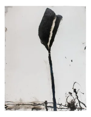 Robert Baribeau "Stem in Black #1", Painting