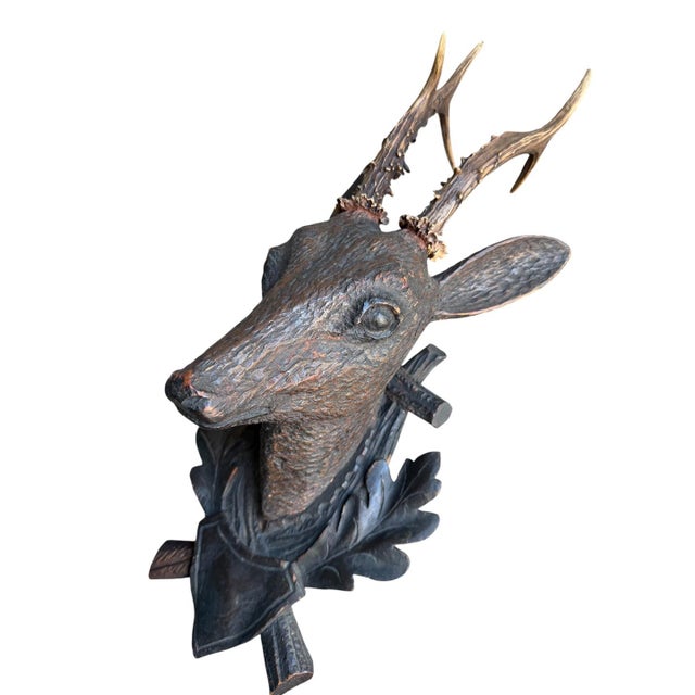 Black Forest Deer Head For Sale In Aspen - Image 6 of 6