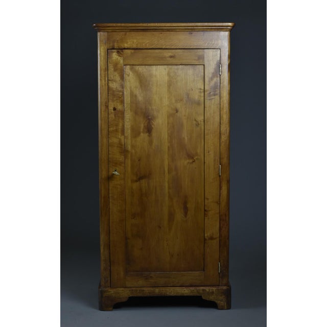 Tall Birch Cabinet, 1920s For Sale - Image 11 of 11