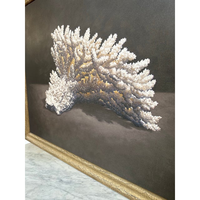 A striking large-scale painting by Gee Clay depicting a sculptural white coral formation rendered with remarkable realism...