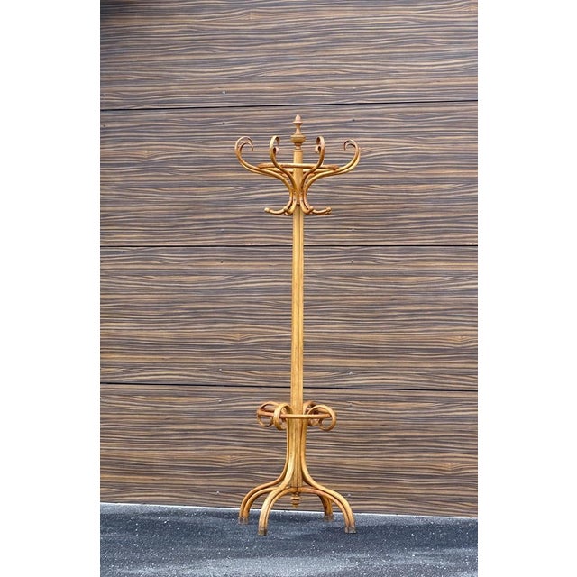 Art Nouveau Coat Rack and Umbrella Stand by Michael Thonet, 1925 For Sale - Image 3 of 6