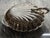 Vintage Oversized Silverplate Hinged Scallop Shell Buffet Server For Sale - Image 9 of 13