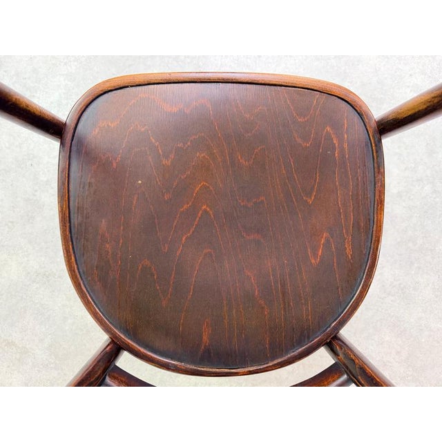 Brown Art Nouveau No. 24 Armchair by Arch. Emanuel Von Seidl for Thonet, 1920s For Sale - Image 8 of 10