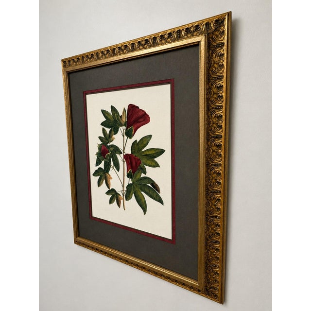 Traditional Vintage Framed "Jenna's Flowers Ii" Botanical Print by Decorative Arts, Inc. For Sale - Image 3 of 12
