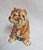 Italian Artist, Sculpture of a Tiger Cub, 1970s, Ceramic For Sale - Image 4 of 7