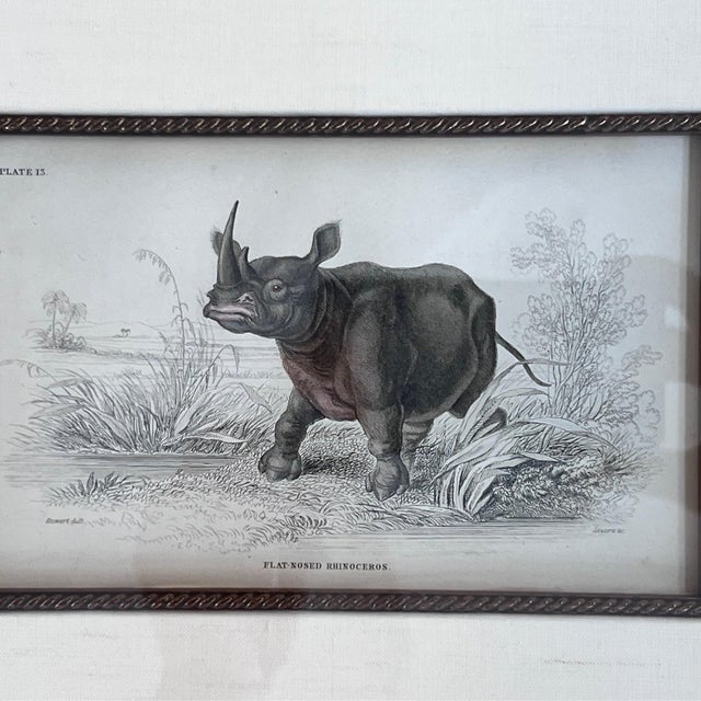 1920s Pair of antique engravings of Rhinoceroses signed Stewart and Lixars // set of two // custom framing // burlwood frames // collectible For Sale - Image 5 of 10